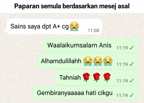 Paparan semula mesej Anis Yasmin